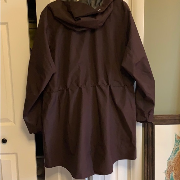 pike street trench coat